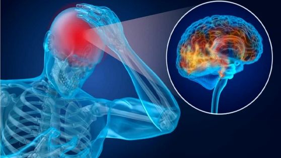 افشاگری علمی: راز «بازیابی توان مغزی» در میانه‌ی روز چیست؟ 