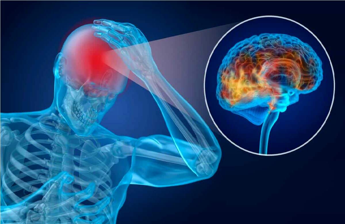 افشاگری علمی: راز «بازیابی توان مغزی» در میانه‌ی روز چیست؟ 