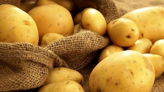 سیب‌زمینی؛ متهم همیشگی سفره‌ها یا سوپرفودی که نادیده گرفته‌ایم؟